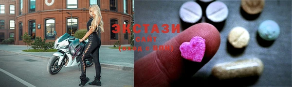 spice Инта